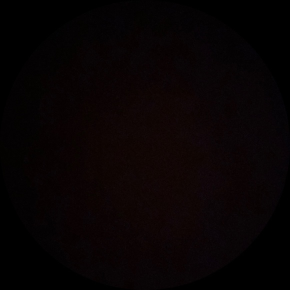 lmyswimmer31
